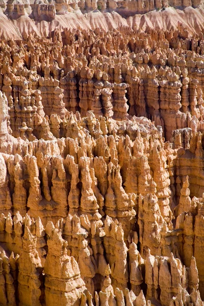 Bryce Canyon. — Fotografia de Stock