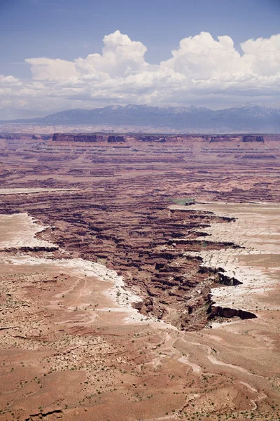 Canyon landar usa nära moab — Stock fotografie