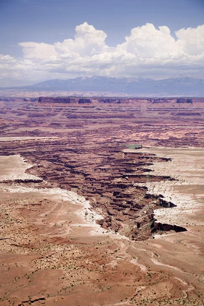 Canyon landar usa nära moab — Stock fotografie