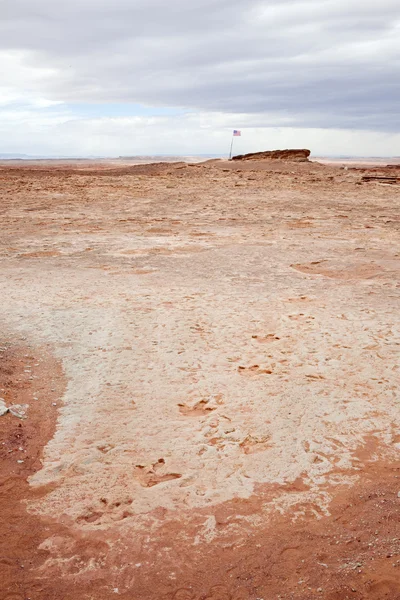 Dinosaur tracks usa — Stock Photo, Image