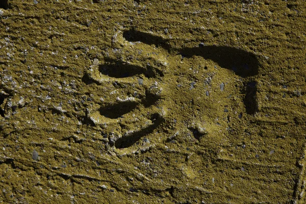 Hand imprint — Stock Photo, Image