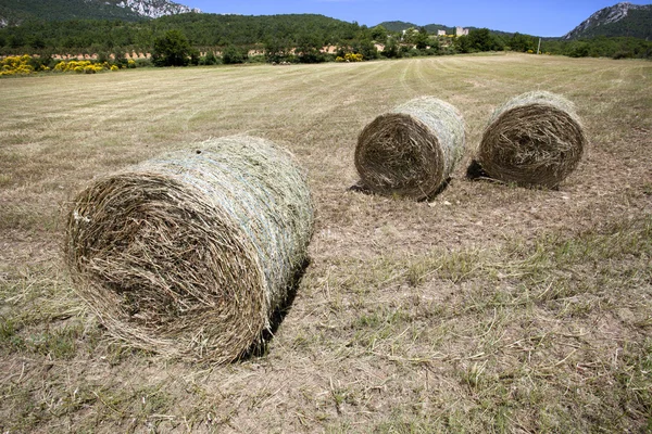 Récolte de foin en Italie — Photo