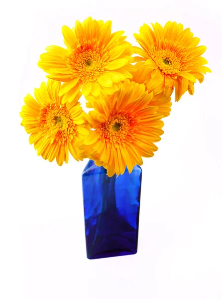 Gerbera i vas — Stockfoto