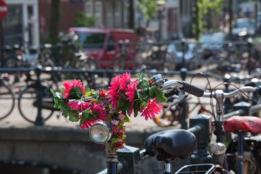 Amsterdam'da çiçekler