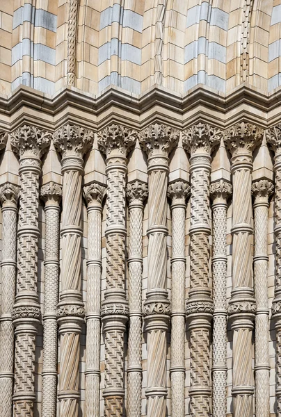 Columns at natural history museum — Stock Photo, Image