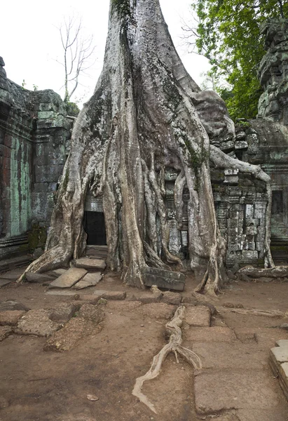 Angkor Wat détail — Photo