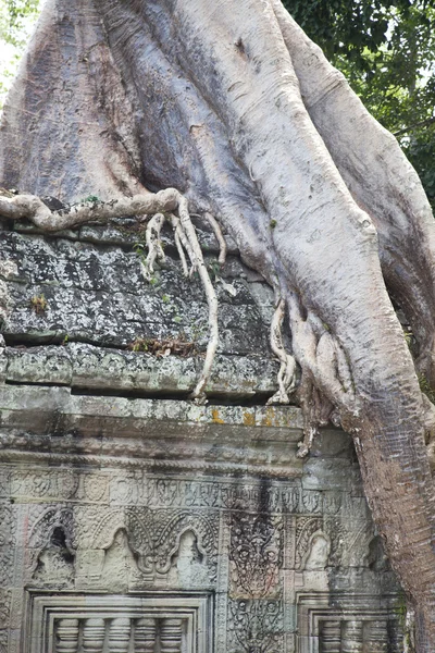 Angkor Wat detalle —  Fotos de Stock