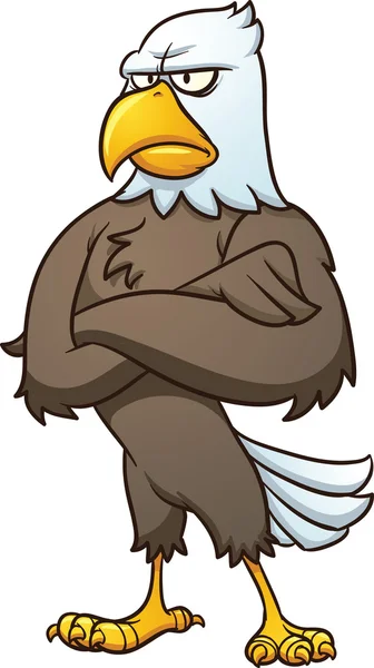 Bald eagle — Stock Vector
