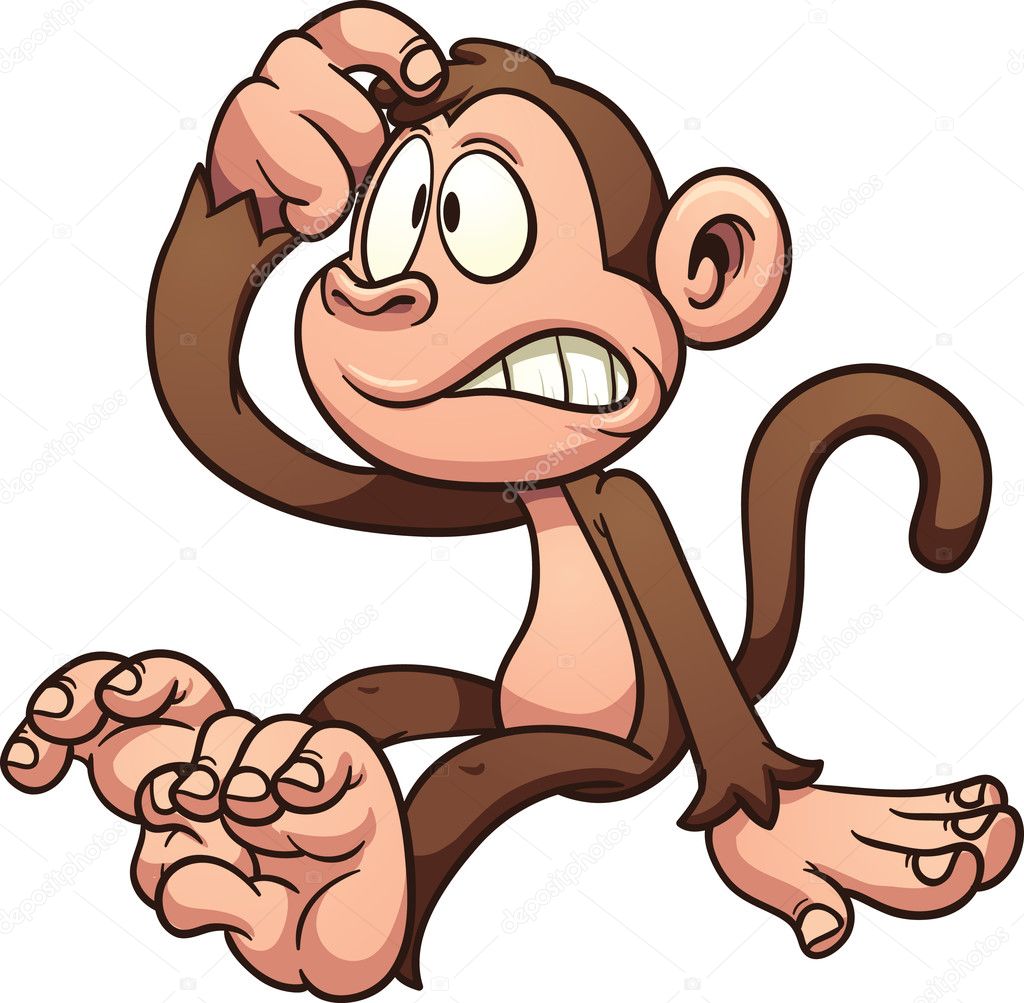 Confused monkey
