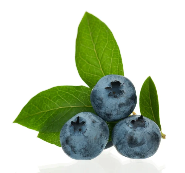 Fresh blueberries — Stock Photo, Image