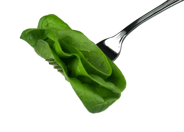 Spinach on a fork — Stock Photo, Image