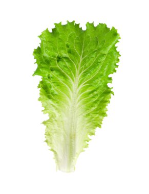 yeşil salata