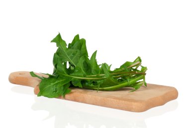 Dandelions yaprakları
