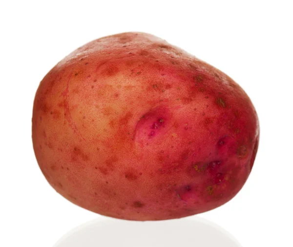 Nieuwe aardappel — Stockfoto