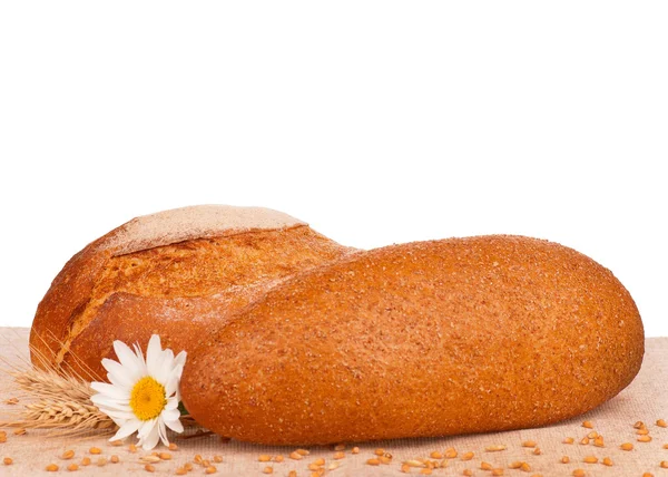 Fresh bread — Stock Photo, Image