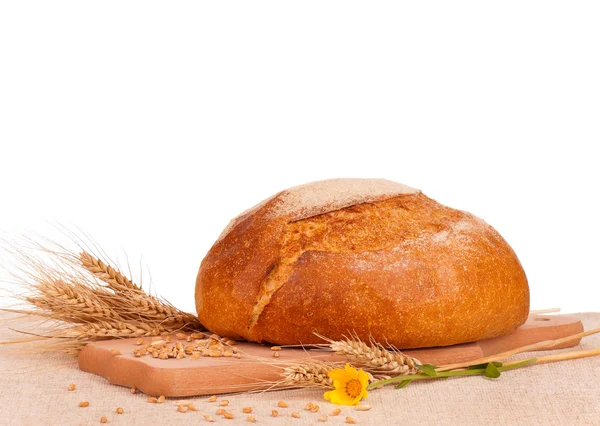 Round white bread — Stock Photo, Image