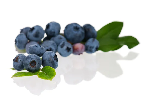 Blueberry di atas putih — Stok Foto