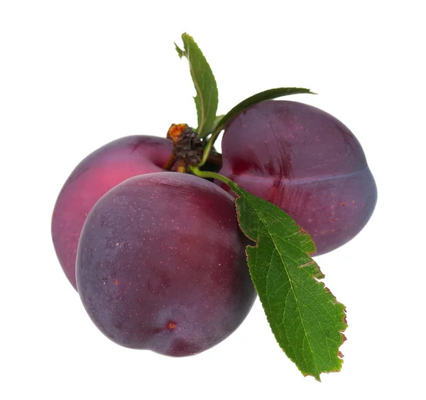 Red plum — Stock Photo, Image