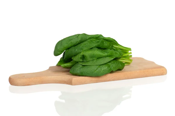 Spinach leaf — Stock Photo, Image