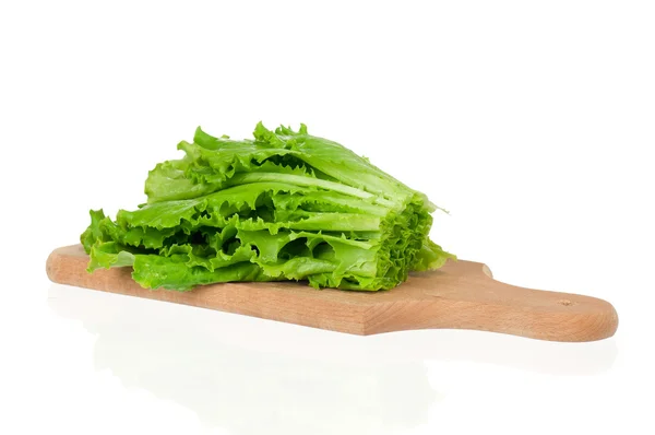 Lettuce leaves — Stock Photo, Image