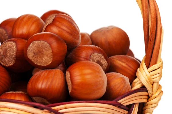 Zralé ořechy — Stock fotografie