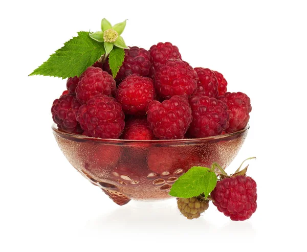 Reife Himbeeren — Stockfoto