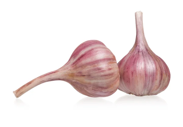 Garlic bulbs — Stock Photo, Image