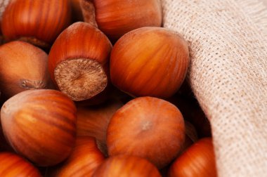 olgun kaju fıstığı