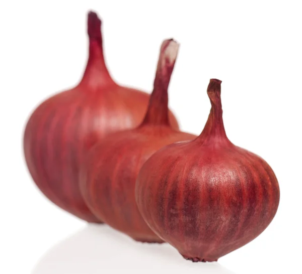 Red onions — Stock Photo, Image