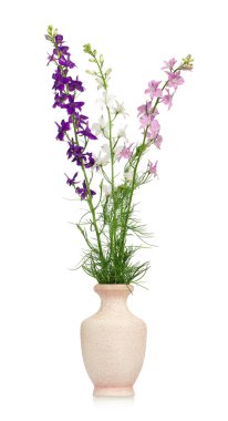 Delphinium çiçekler