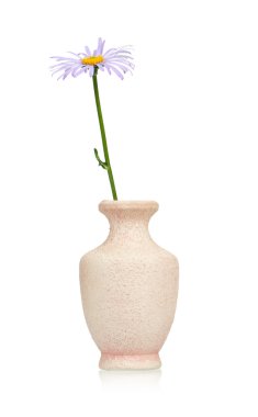 Leylak papatya çayı