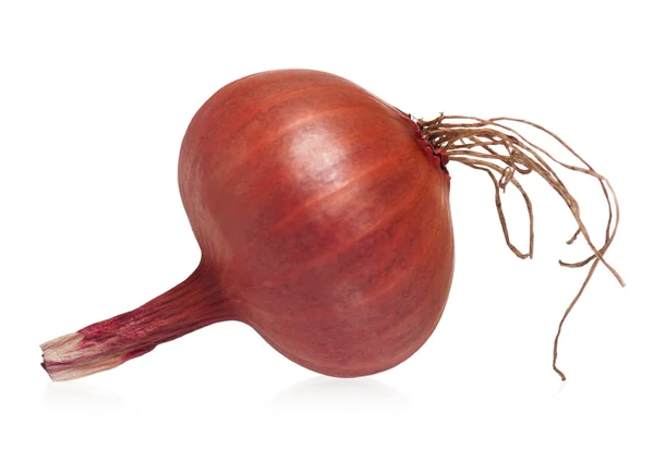 Kırmızı soğan — Stok fotoğraf