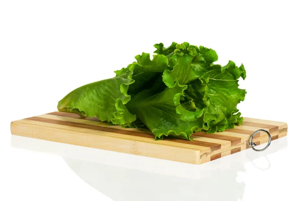 Lechuga verde — Foto de Stock