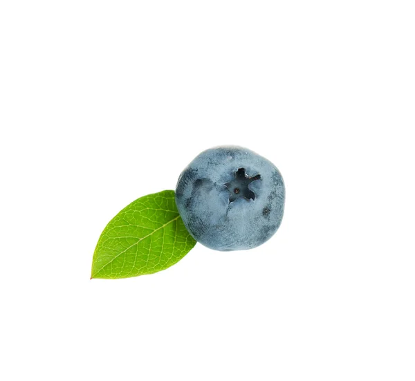 Ripe blueberry — Stock Photo, Image