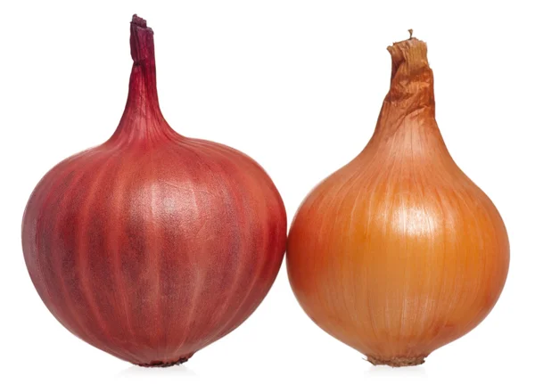 Raw onions — Stock Photo, Image