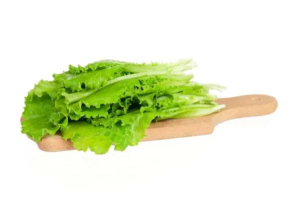 Salatblätter — Stockfoto