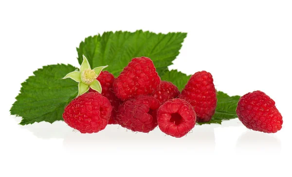 Reife Himbeeren — Stockfoto