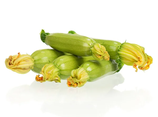 Vegetable marrow — Stock Photo, Image