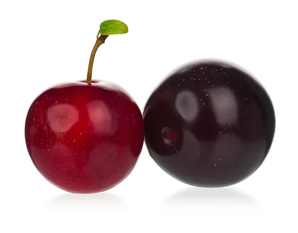 Cherry švestky — Stock fotografie