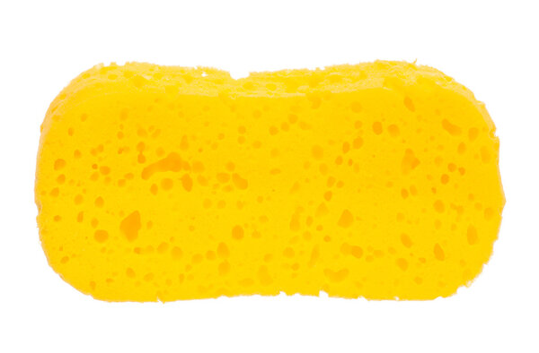 Bath sponge