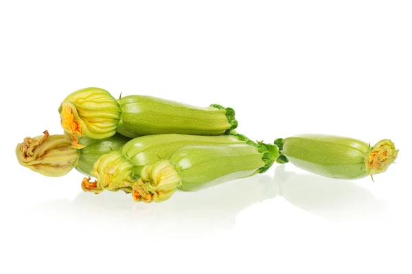 Marrow with bloom — Stock Photo, Image