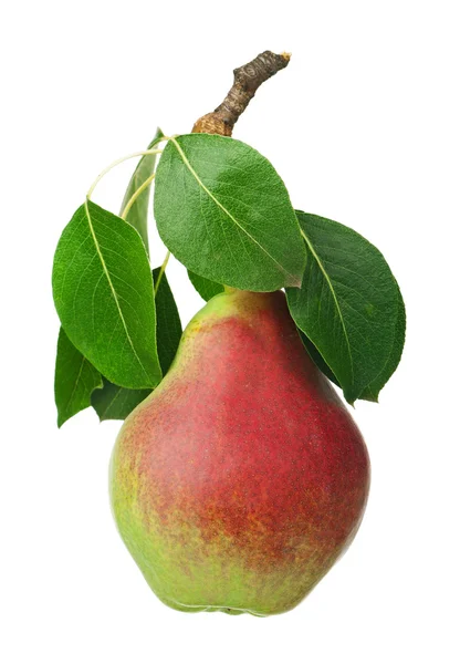 Green pear — Stock Photo, Image