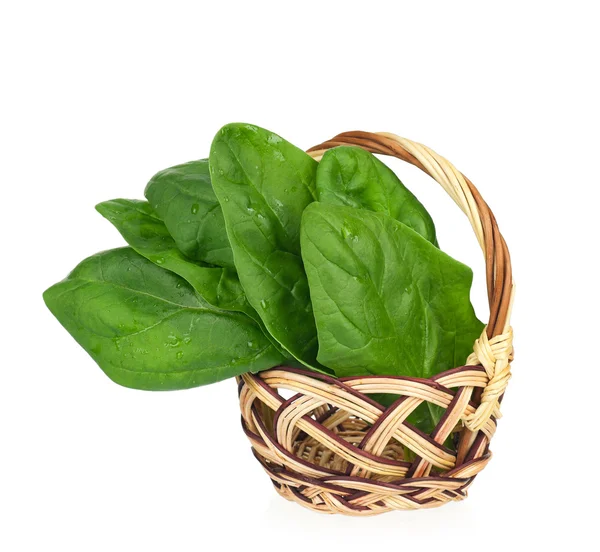 Spinach leaves — Stock Photo, Image