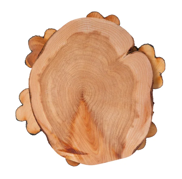 Tree saw — Stock Photo, Image
