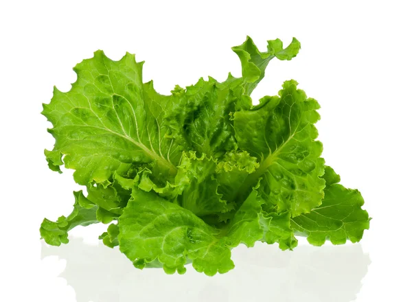 Green lettuce — Stock Photo, Image