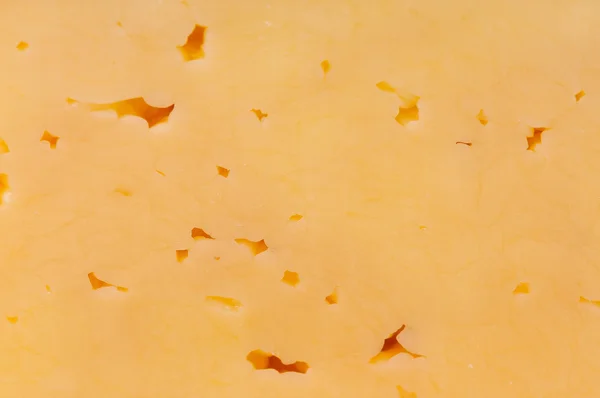 Cheese surface — Stock Photo, Image