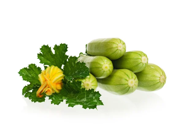 Vegetable marrows — Stock Photo, Image