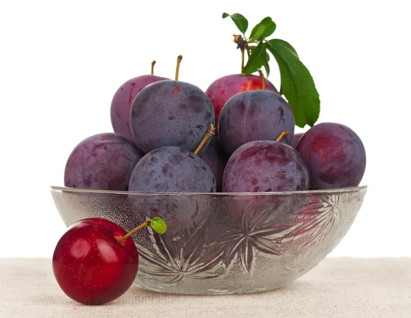 Frutas de ciruela —  Fotos de Stock