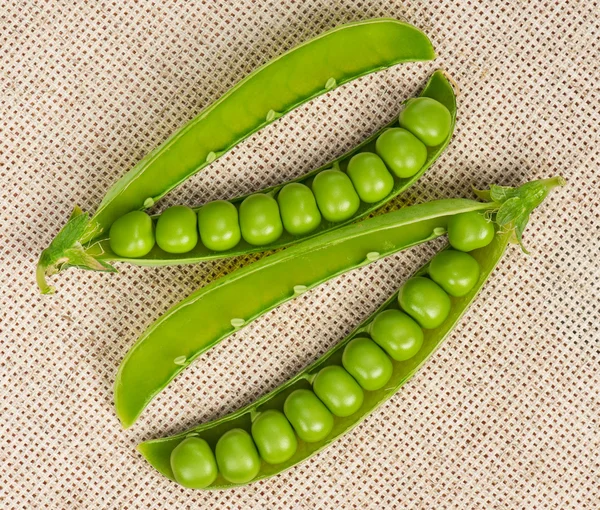 Open pods — Stock Photo, Image