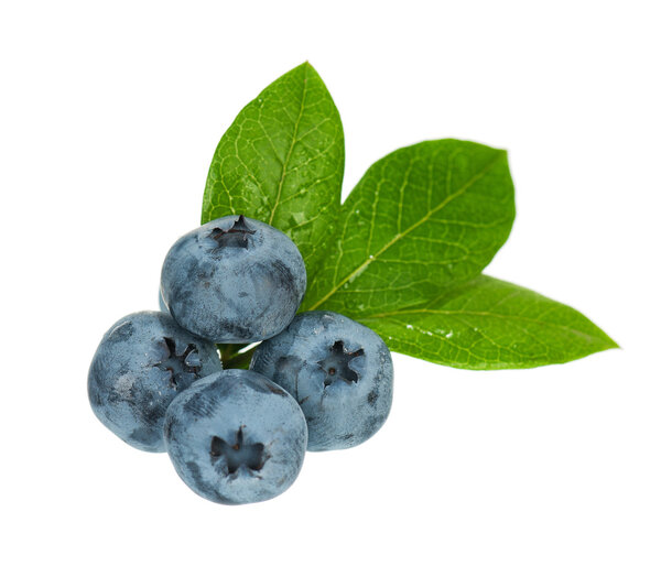 Ripe blueberries